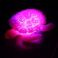 3 x Schildkröte LED blinkend Knautschtier Tombola gelb grün pink