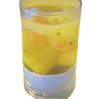 Hase  Schlüpf Egg Osterei wächst im Wasser 12 St Eier Ei mit wachsendes Küken 