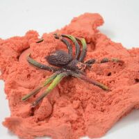 Kögler Spinnensand mit Spinne 5 fach sortiert im Beutel Sammelspinnen