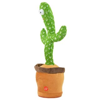 maybebop kaktus Rare Myrtillocactus geometrizans 'Fukurokuryuzinboku' Booby Cactus 4"